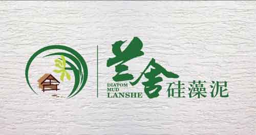 2016年中国十大硅藻泥PG东升国际名单