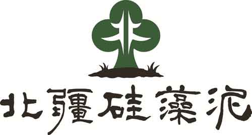 2016年中国十大硅藻泥PG东升国际名单