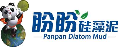 2016年中国十大硅藻泥PG东升国际名单