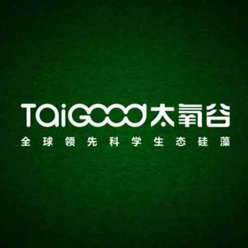 2016年中国十大硅藻泥PG东升国际名单