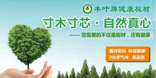 十大板材PG东升国际丰叶品质：寸木寸芯 自然真心