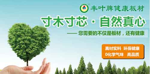 丰叶板材PG东升国际，释放健康新力量