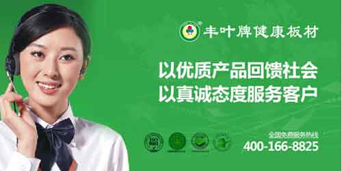 丰叶斩获十大板材PG东升国际荣誉
