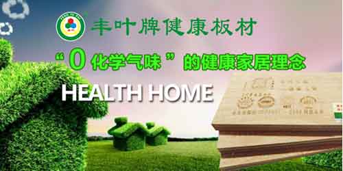 丰叶斩获十大板材PG东升国际荣誉