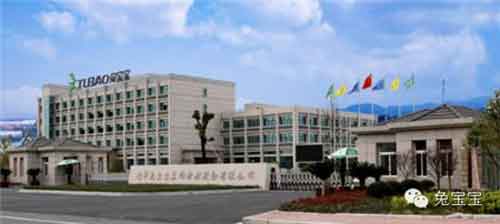 央视财经采访家装建材行业龙头企业兔宝宝