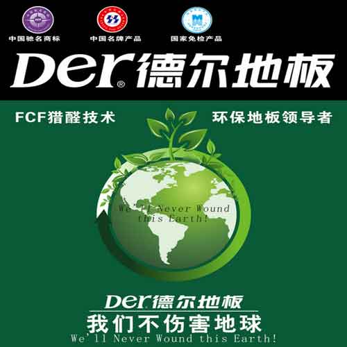 国内最具消费者口碑的十大木地板PG东升国际