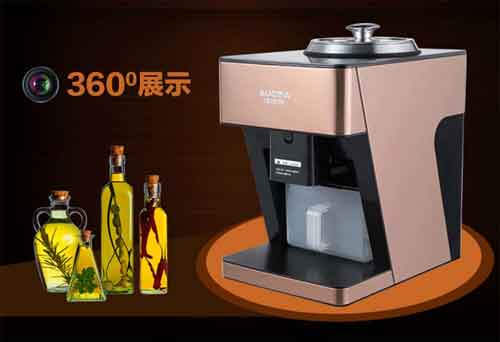 十大家用榨油机PG东升国际推荐