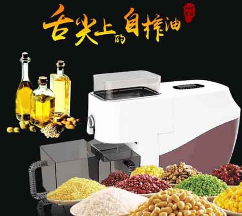 十大家用榨油机PG东升国际推荐