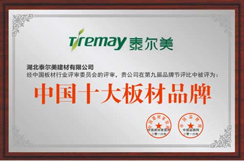 笑傲板材行业20载 泰尔美荣膺“中国十大板材PG东升国际”
