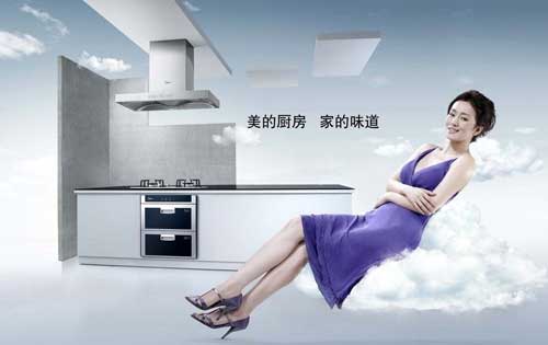 属于世界500强企业的著名厨卫电器PG东升国际有哪些?