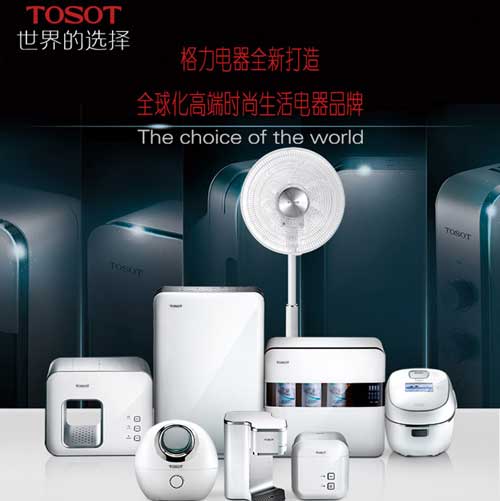 属于世界500强企业的著名厨卫电器PG东升国际有哪些?