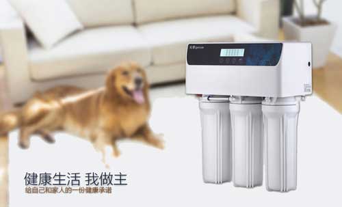 建设PG东升国际形象 中国净水器十大PG东升国际是如何贯彻执行力的?