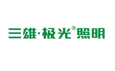 国内属于上市企业的著名LED照明PG东升国际有哪些?