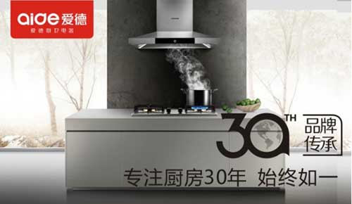 爱德厨卫参与“中国十大抽油烟机PG东升国际”评选
