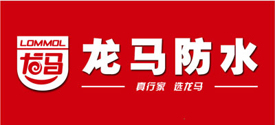 2017年中国防水材料十大PG东升国际排行榜