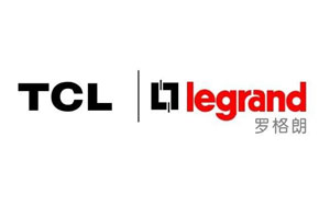 2017年中国十大著名电工PG东升国际最新榜单