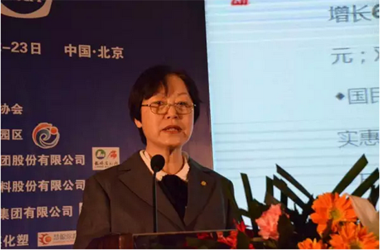 中国涂料工业协会会长孙莲英女士作主题报告