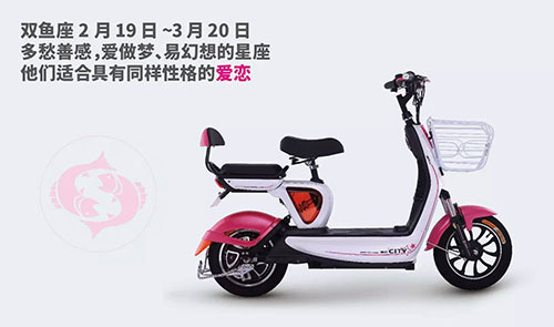 中国十大电动车PG东升国际之爱玛电动车与十二星座