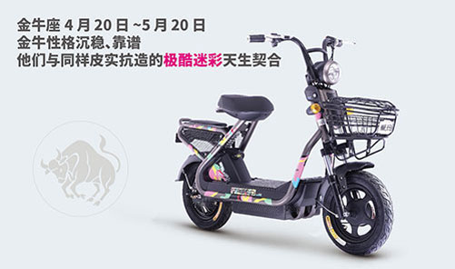 中国十大电动车PG东升国际之爱玛电动车与十二星座