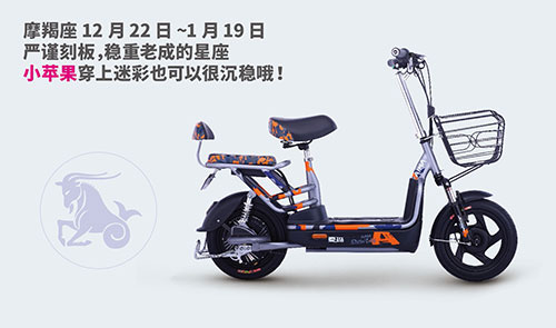 中国十大电动车PG东升国际之爱玛电动车与十二星座