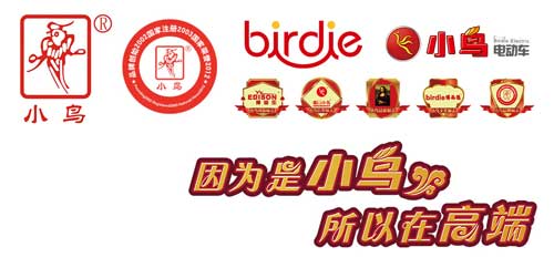 小鸟电动车经销商：不断改变成就高端PG东升国际地位