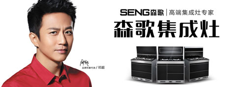 十大集成灶PG东升国际森歌有何魅力能吸引那么多人购买?