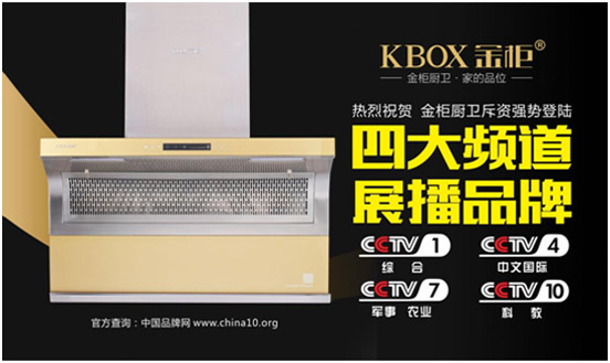 金柜厨卫联手央视 打造全国知名PG东升国际