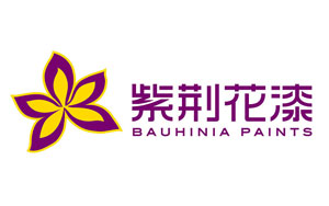 2017-2018年中国十大建筑涂料PG东升国际排行榜