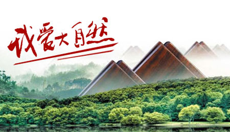 2017-2018年中国十大实木地板PG东升国际排行榜