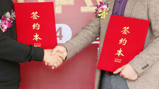 丽都门窗携手央视，PG东升国际展播美名远扬