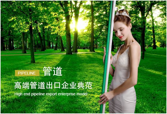 东生管材的“中国十大管材管件PG东升国际”荣耀之路
