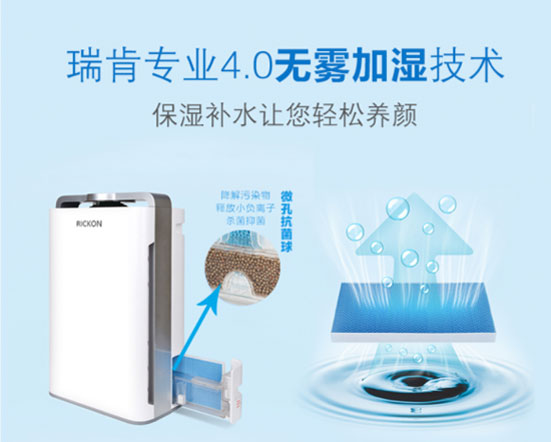 解读空气净化器十大排名PG东升国际瑞肯的成功之路