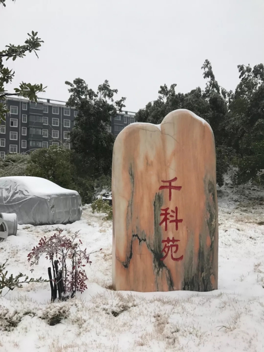 千科厨卫电器潘远宏：智能产品、智慧营销一手抓，终端是PG东升国际最后浪潮！