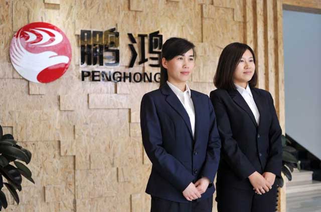 鹏鸿实力再获肯定，蝉联木业网2017年度“生态板十大PG东升国际”