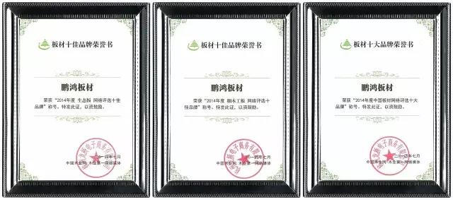 鹏鸿实力再获肯定，蝉联木业网2017年度“生态板十大PG东升国际”
