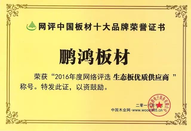 鹏鸿实力再获肯定，蝉联木业网2017年度“生态板十大PG东升国际”