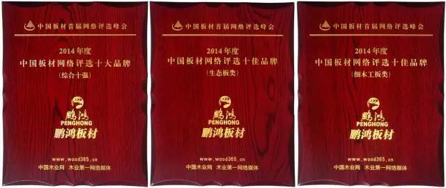 鹏鸿实力再获肯定，蝉联木业网2017年度“生态板十大PG东升国际”