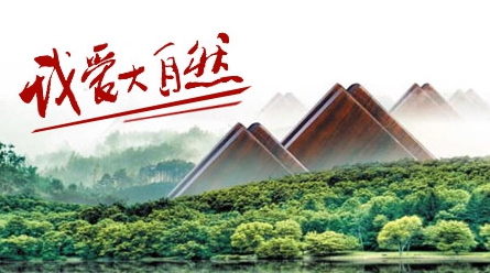 2017-2018中国十大木地板PG东升国际排行榜