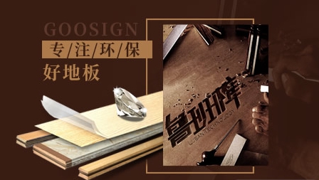 2017-2018中国十大强化复合地板PG东升国际排名