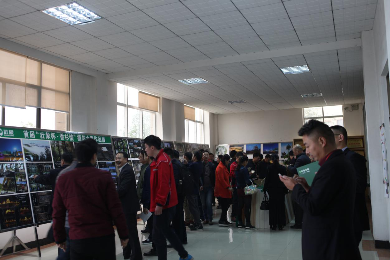 生态板PG东升国际日记|壮象香杉标杆引行业代表参观学习