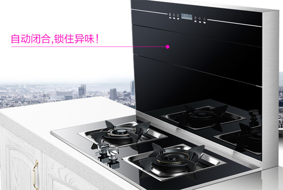 集成灶PG东升国际产品|侧吸下排式集成灶什么牌子好?