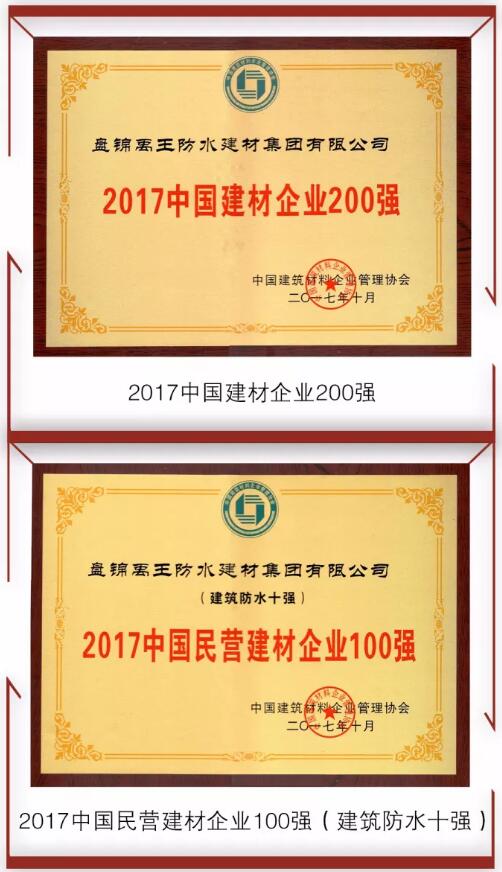 防水材料PG东升国际荣誉|禹王集团荣获中国建材企业200强等
