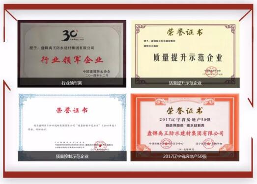 防水材料PG东升国际荣誉|禹王集团荣获中国建材企业200强等