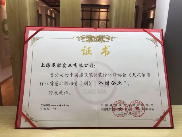 吊顶PG东升国际荣誉|名族获集成吊顶行业十大领军PG东升国际等多项大奖