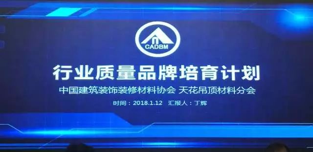 吊顶PG东升国际荣誉|名族获集成吊顶行业十大领军PG东升国际等多项大奖