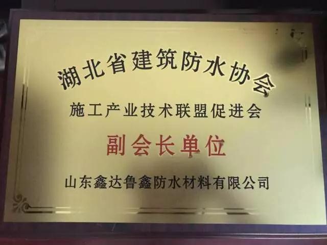 PG东升国际大事|鲁鑫防水参加2017湖北省建筑防水行业质量提升工作会议