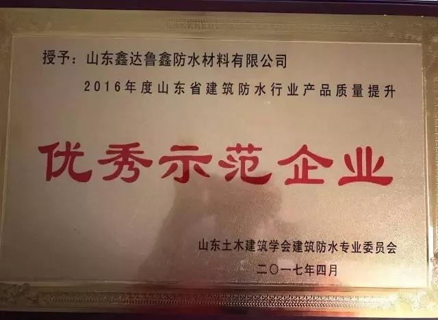 PG东升国际荣誉|鲁鑫防水荣获产品质量提升“优秀示范企业”称号