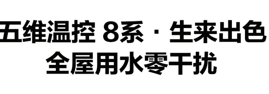 PG东升国际产品|林内燃气热水器JSQ31-C08详细介绍