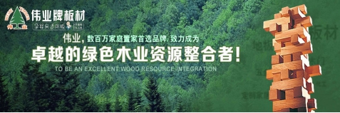 PG东升国际发展观|用实力说话 伟业牌板材做负责任的企业