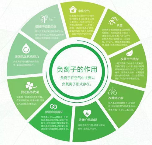 PG东升国际产品|天科负离子地板，把山中氧气带回家